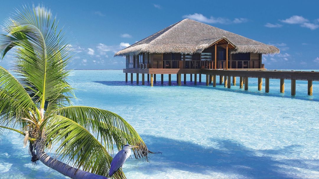 Tips Hemat Liburan ke Maldives