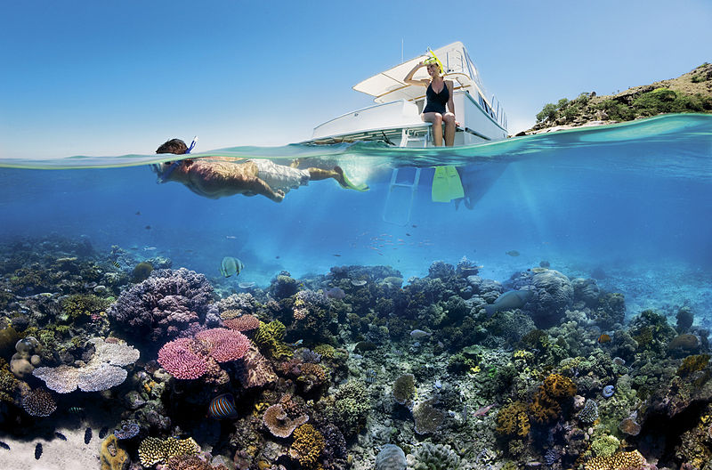 Great Barrier Reef Australia 3