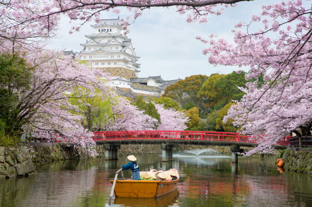 Berlibur ke Jepang, Jangan Sampai Lewatkan Momen Mekarnya Bunga Sakura