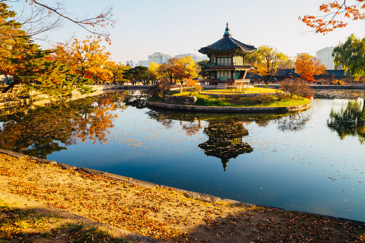 Spot Musim Gugur di Korea yang Wajib Dikunjungi Wisatawan