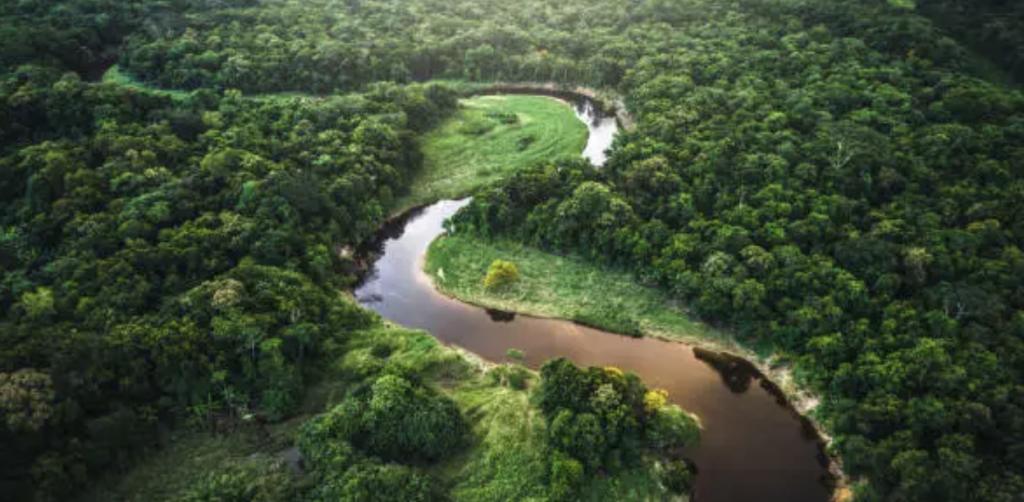 Sungai Amazon