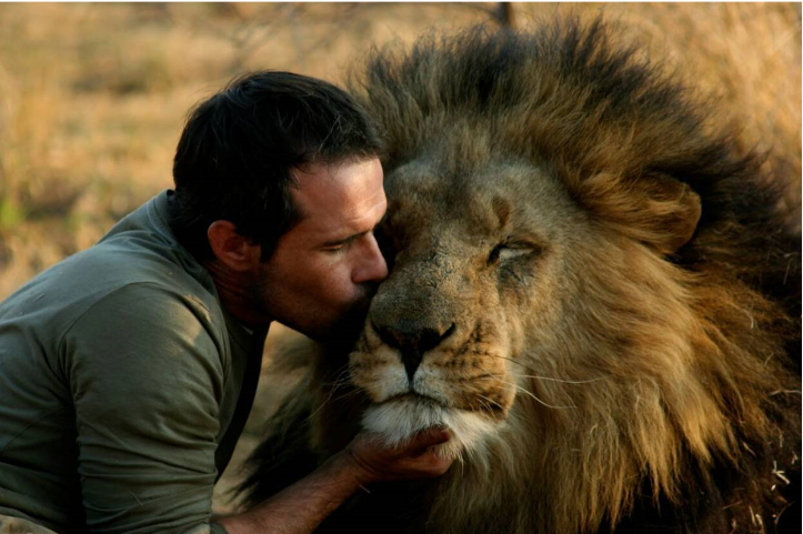 Kisah Nyata Persahabatan Manusia Singa. Sangat Menyentuh
