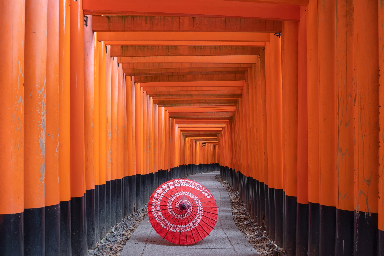 9 Fakta Tentang Fushimi Inari Jepang yang Memiliki Banyak Spot Foto Menarik